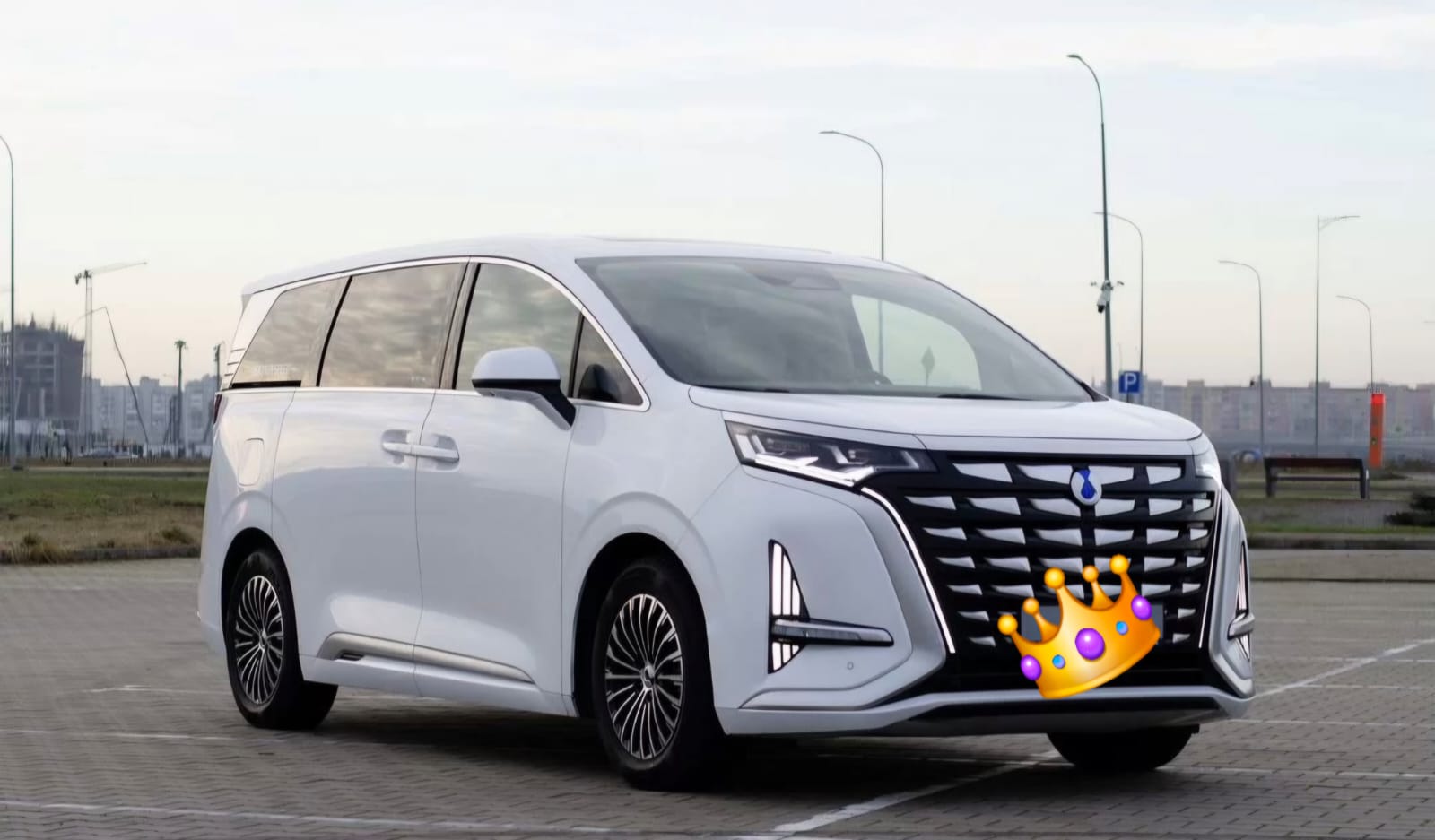 Kia Carnival минивэн — экскурсии Калининград